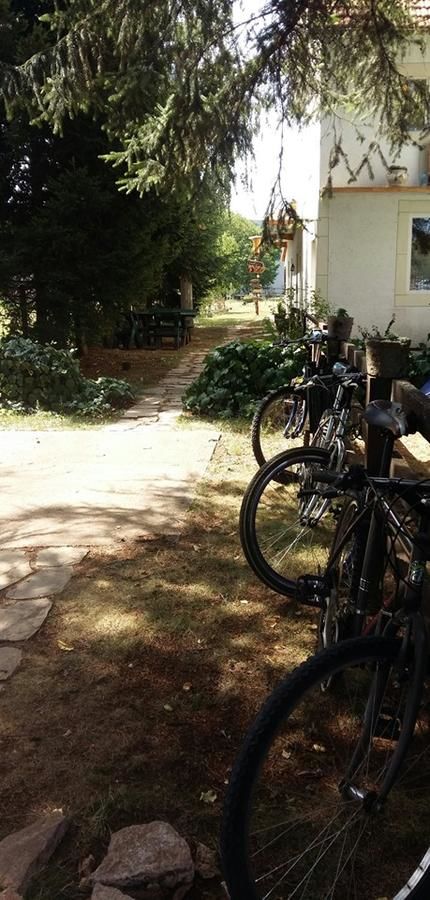 Апартаменты Belette Apartments Никшич-31